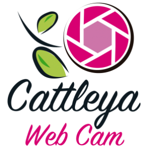 Cattleya Web Cam