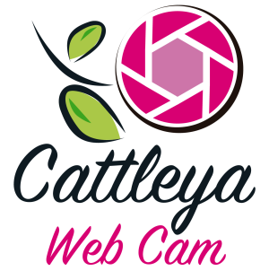 Cattleya Web Cam